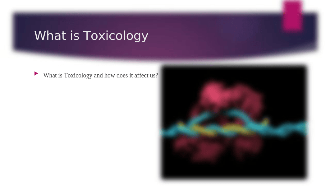 Toxicology 1.pptx_dknth74109b_page2