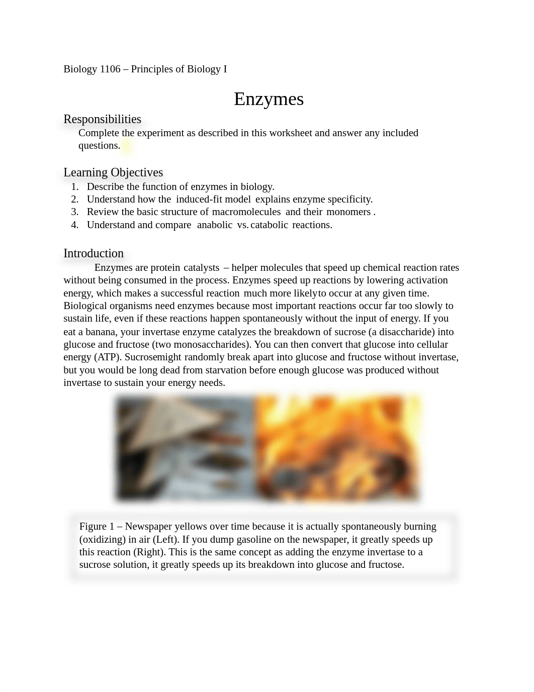 Lab 7 - Enzymes Lab Worksheet.docx_dknylon8z6k_page1