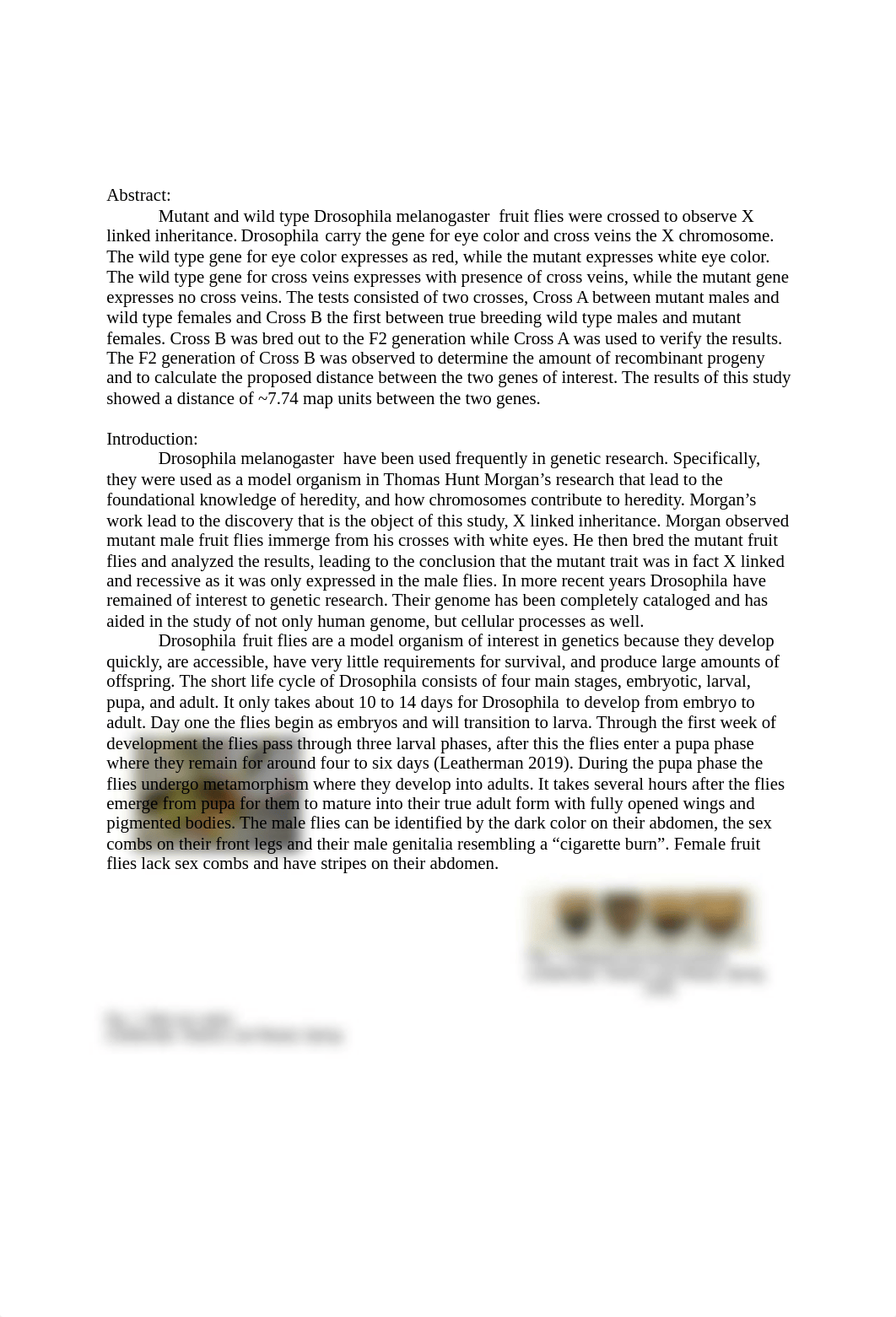 Drosophila Lab Report 1.docx_dko7jglsfkx_page2