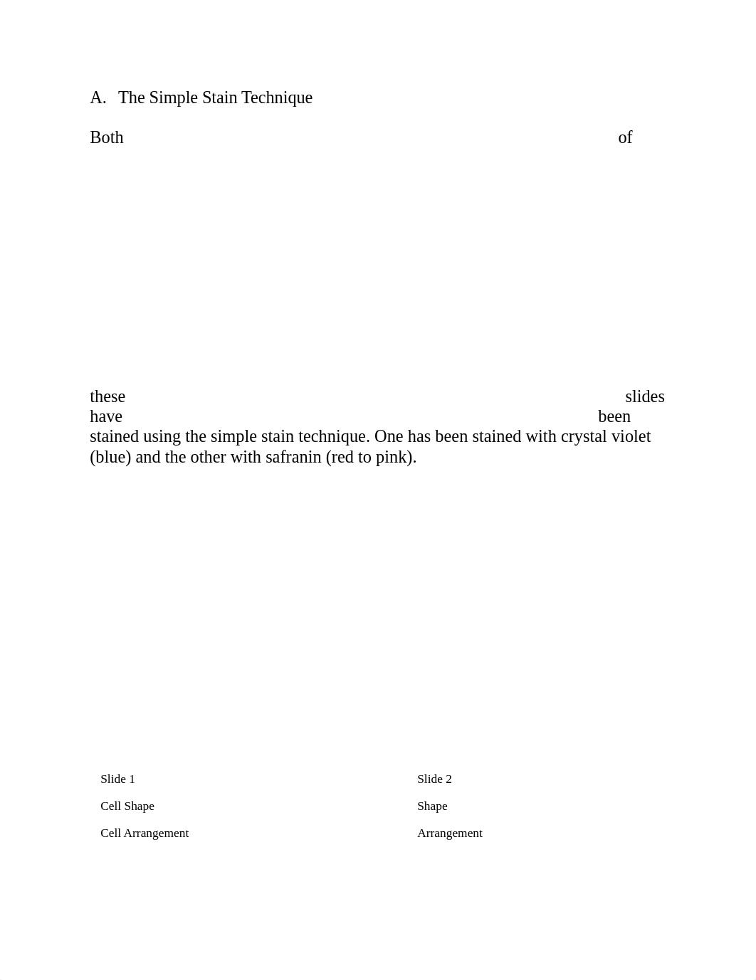 BIOL2420 Exercise 4(1) (1).docx_dkoboo4qg5e_page1