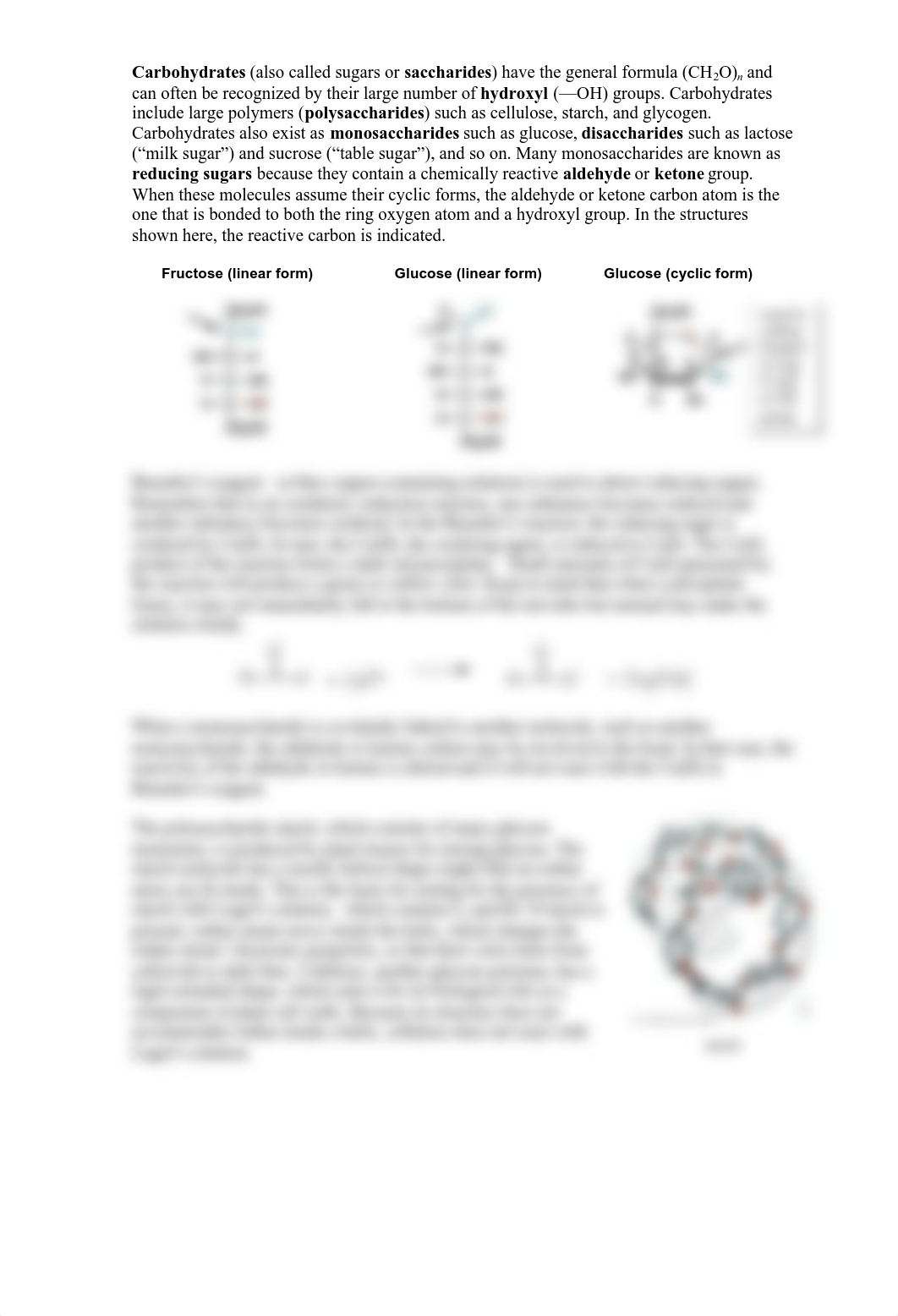 F16 Lab 2 Macromolecules - SV_dkocmbwtkk6_page2