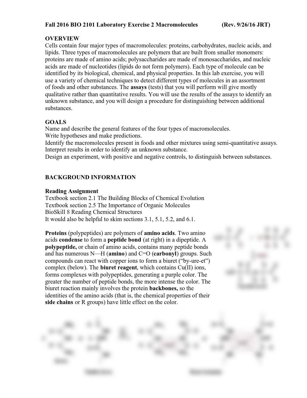 F16 Lab 2 Macromolecules - SV_dkocmbwtkk6_page1