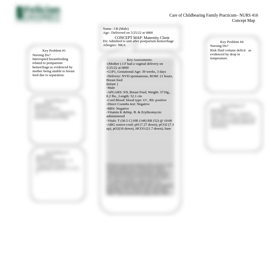 NURS 416 Concept Map final.docx_dkoqnmo7ac2_page2
