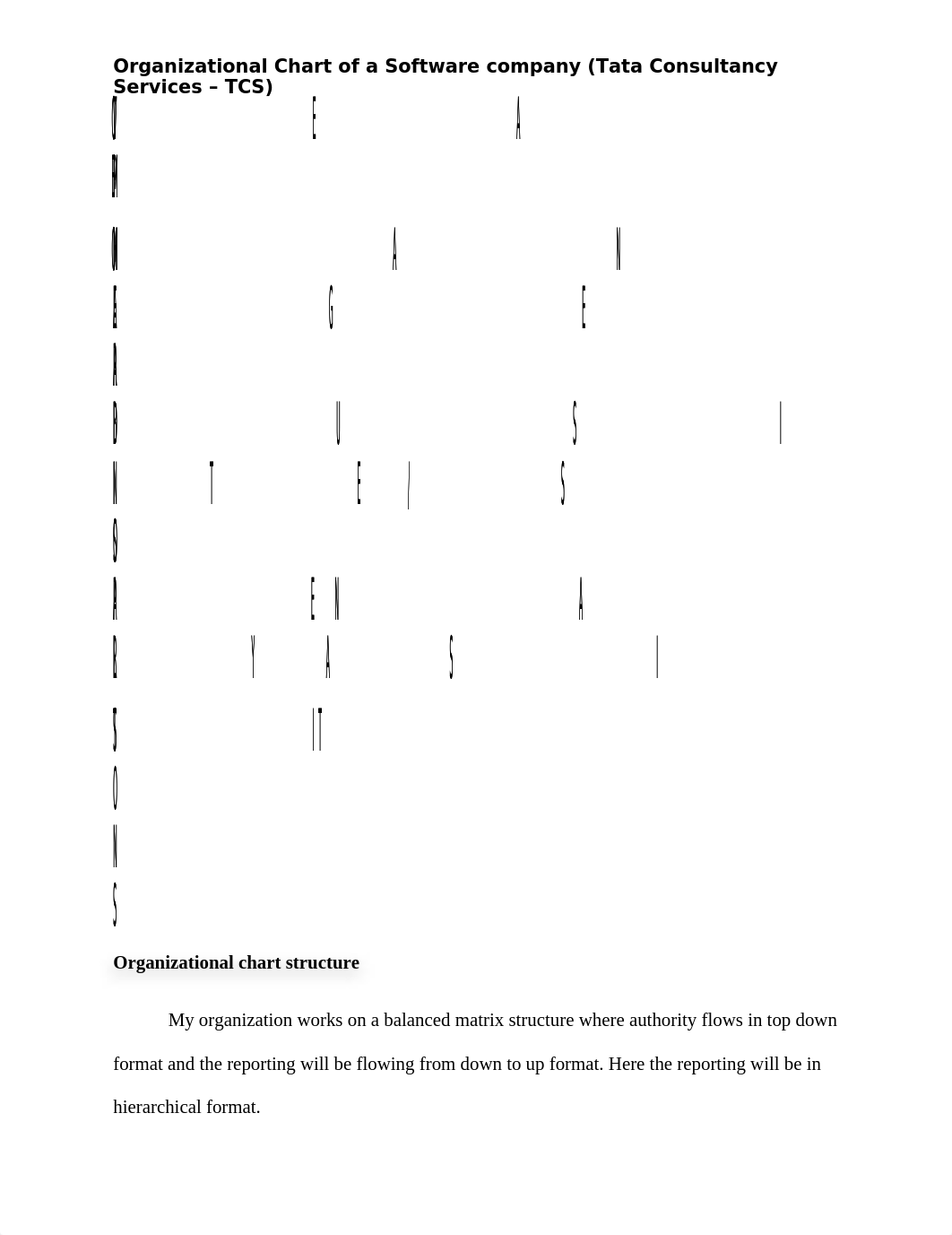 Org Chart TCS.docx_dkotcrelzuz_page1