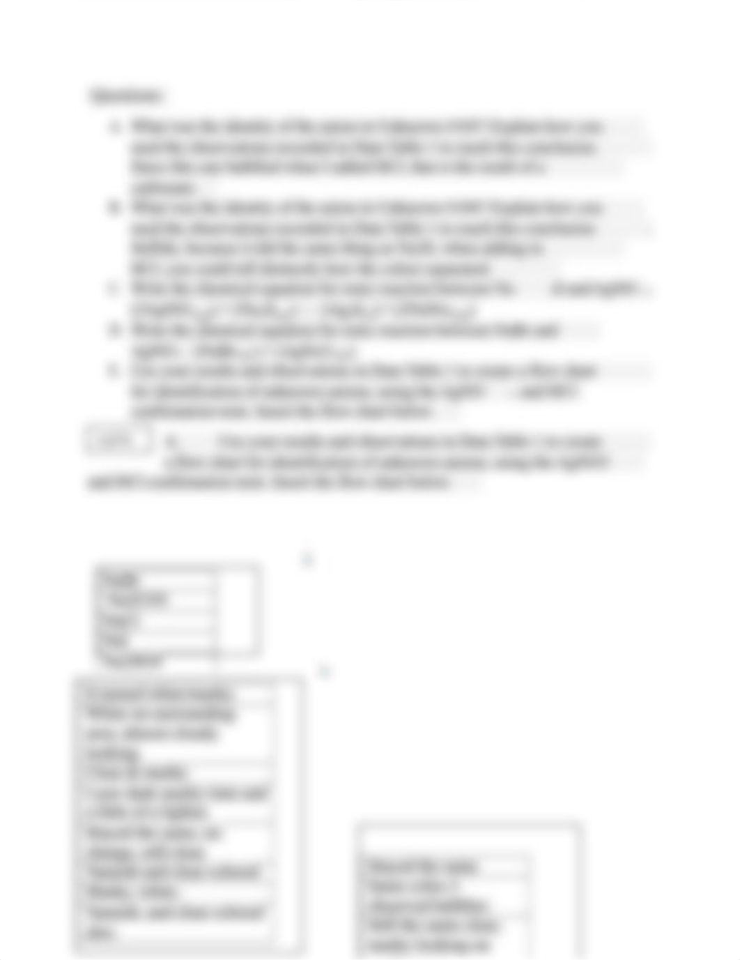 Anions, Cations, and Ionic Reactions CHEM SUBMISSION.docx_dkoybkq7msl_page2