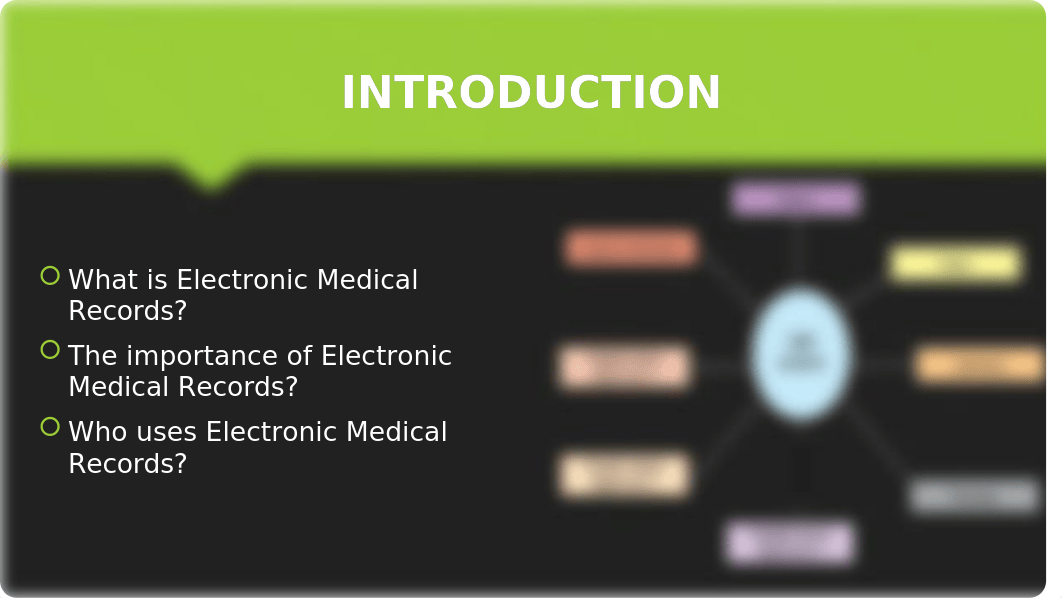 Evaluating EMRs Presentation.pptx_dkpe9wqx11x_page2