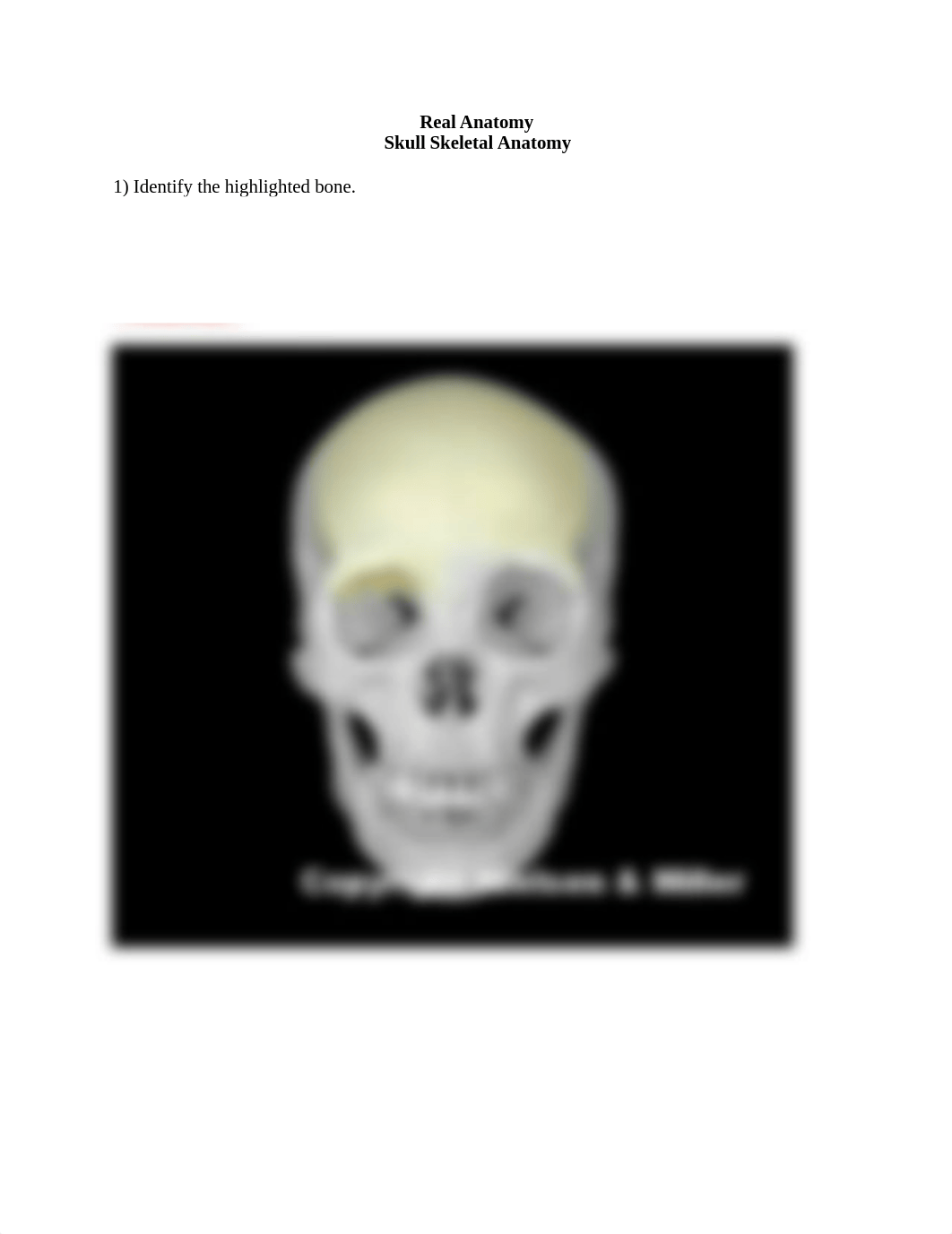 Skull ID WS.docx_dkpf3bgajhk_page1