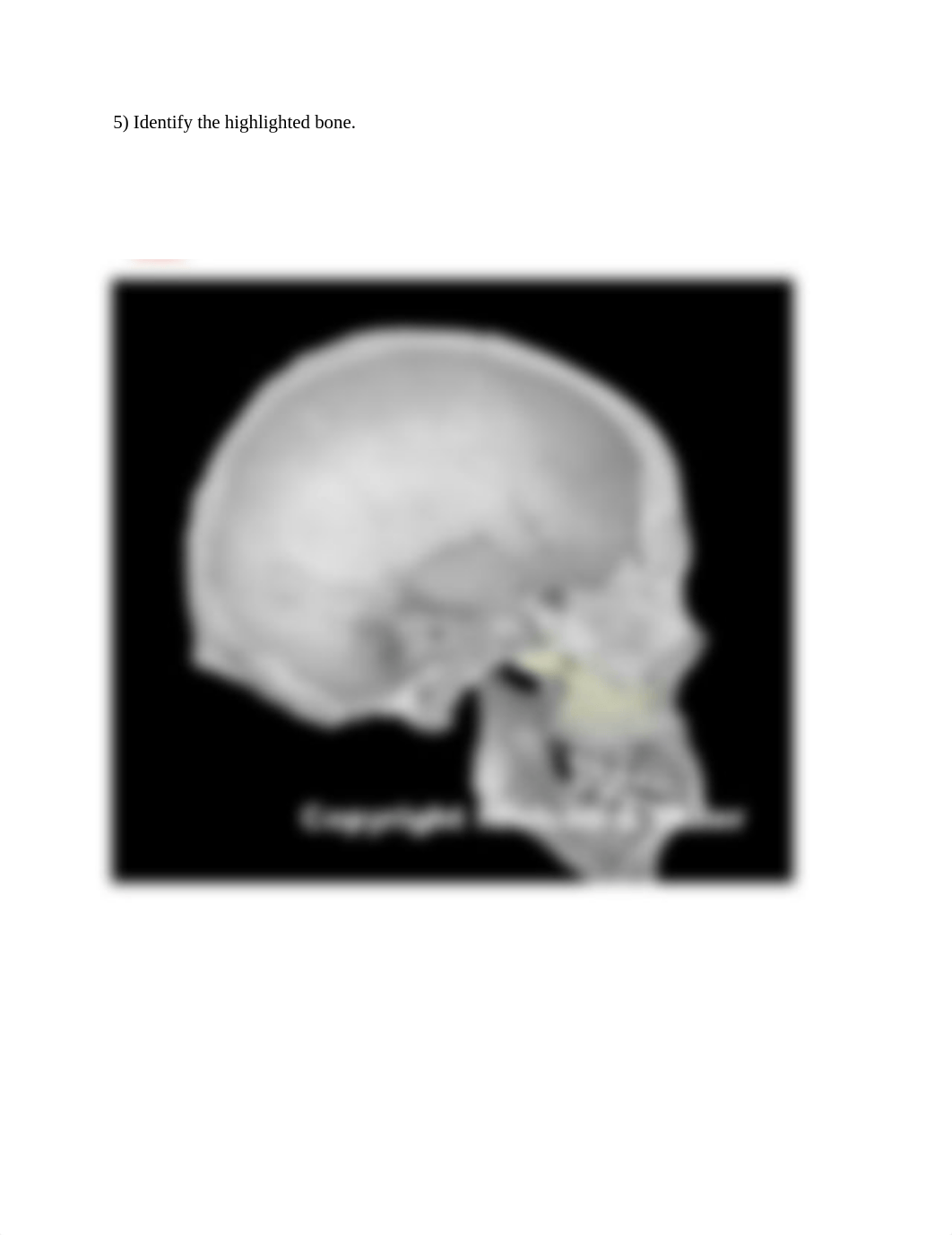 Skull ID WS.docx_dkpf3bgajhk_page5