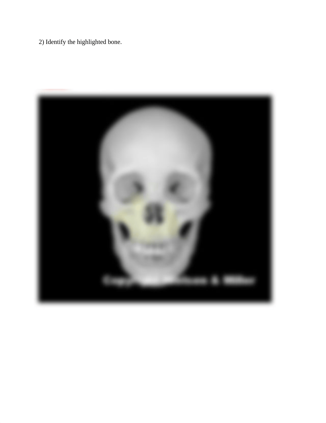 Skull ID WS.docx_dkpf3bgajhk_page2