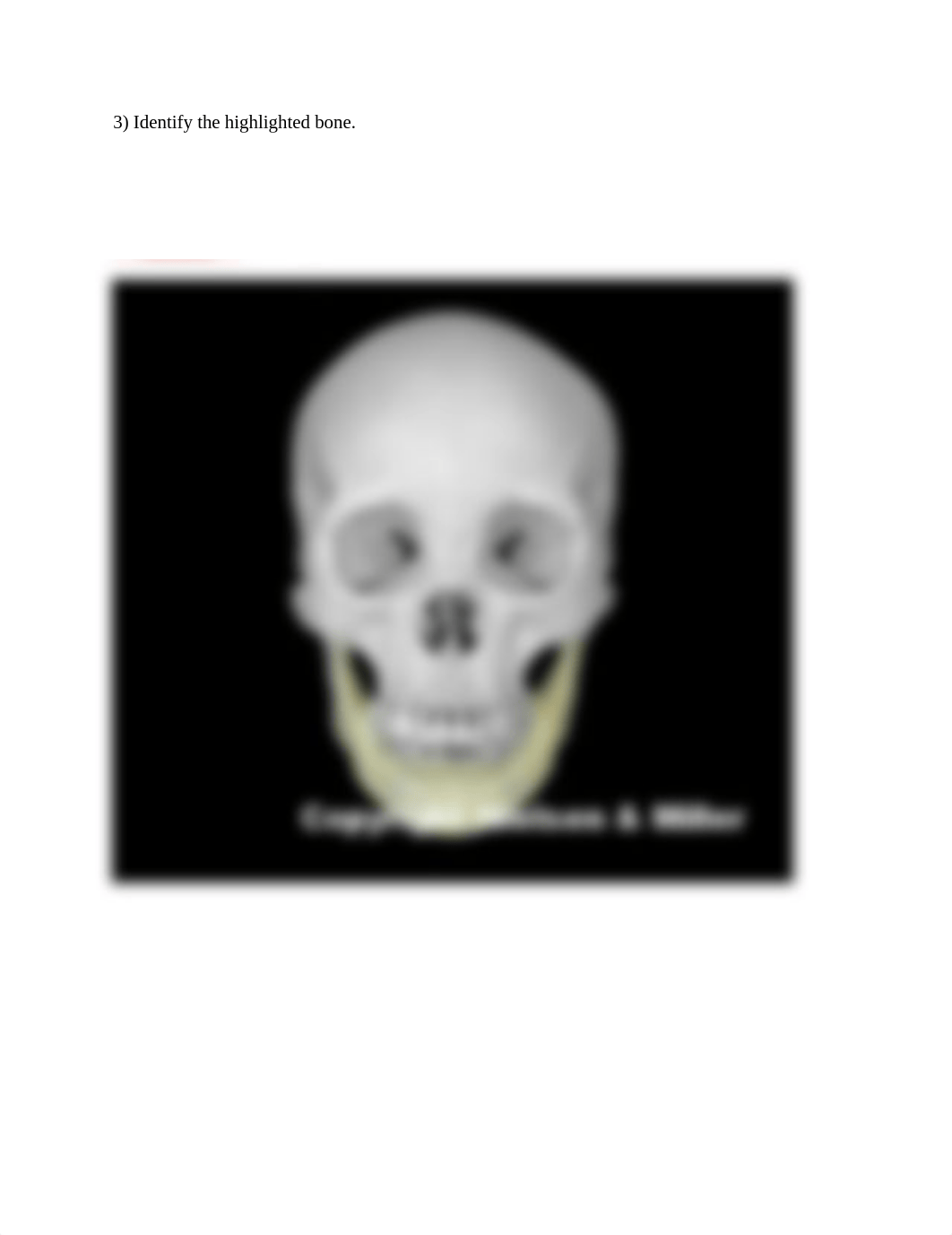 Skull ID WS.docx_dkpf3bgajhk_page3