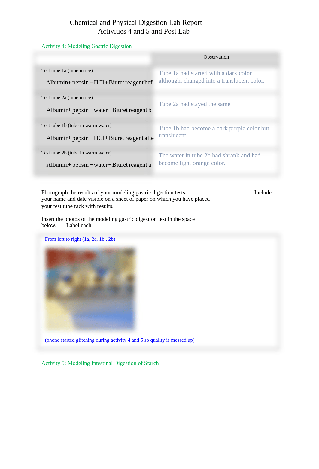 Chemical and Physical Digestion Lab Report Activities 4-5.docx_dkphacygl8n_page1