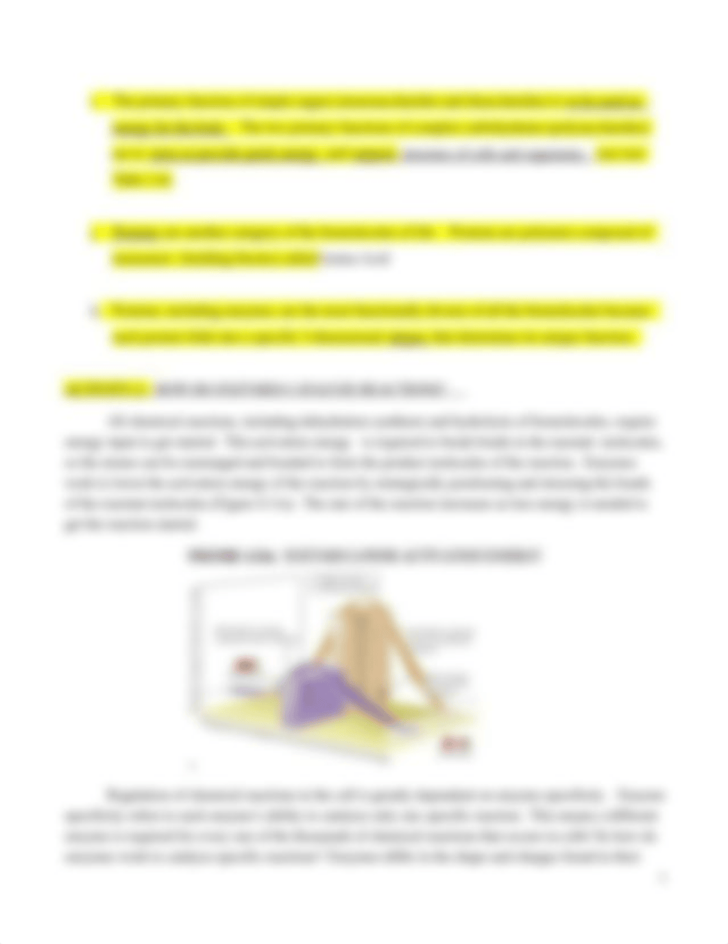 BIOL 1020 Enzymes and Carbohydrates Lab Spring 2021 (1).docx_dkpjlqz5jo8_page3