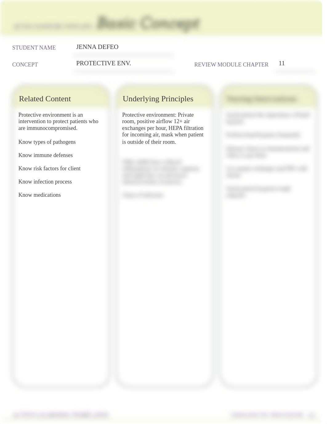 Protective environment basic concept.pdf_dkpl3mby13y_page1