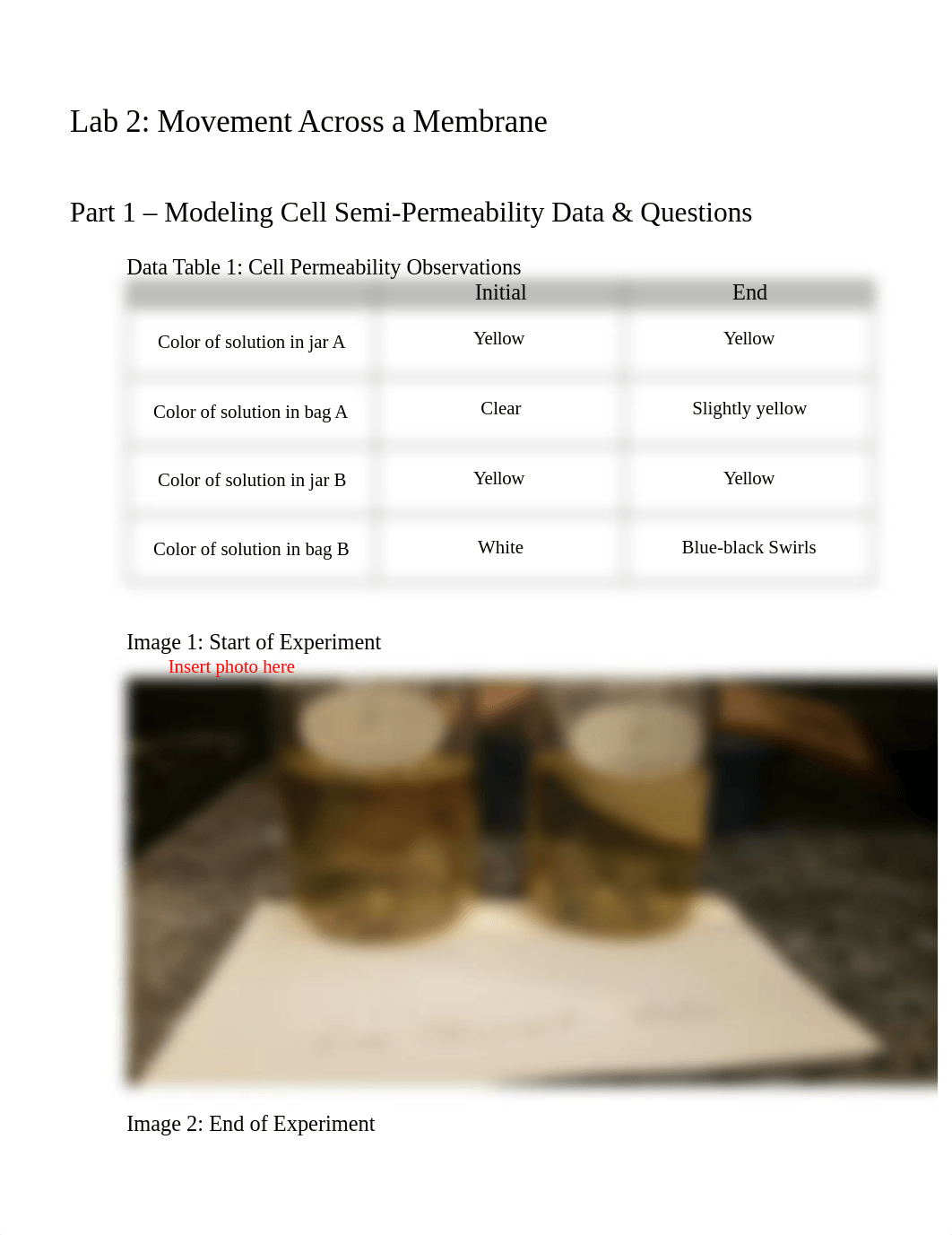 Lab 2 Movement Across a Membrane Worksheet.docx_dkplyasozgn_page1