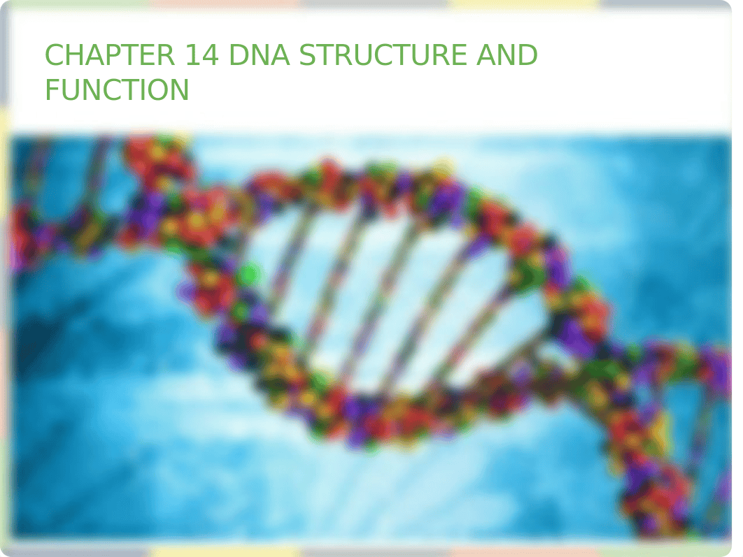 Chapter 14 DNA Structure and Function Lecture_dkpm9gsz9fw_page2