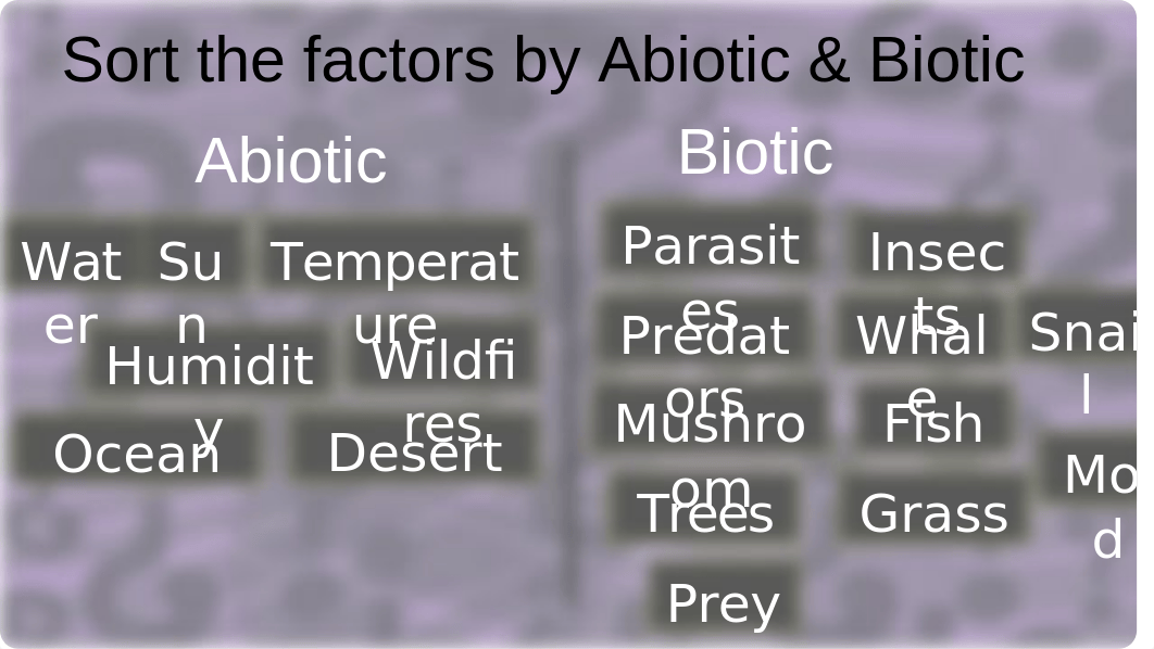 Copy_of_2021-22_Whodunnit_-_Abiotic_and_Biotic_Factors_dkpr5dy50si_page5