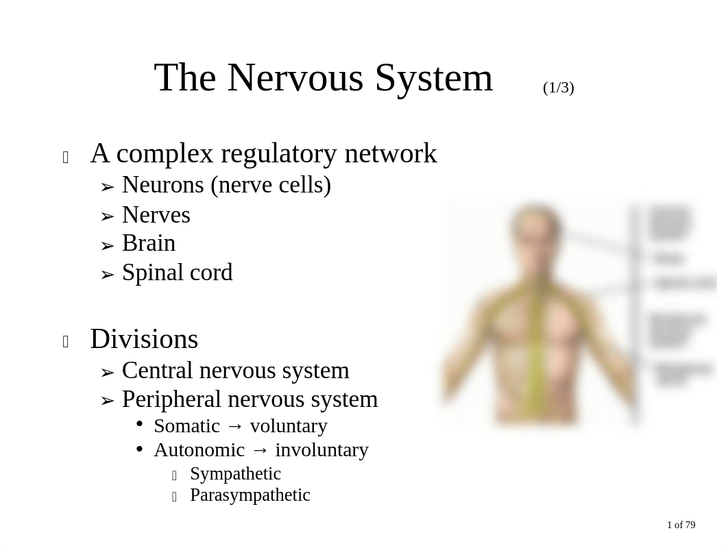 Chapters 14 NEUROLOGIC.pdf_dkqd51h29sr_page2