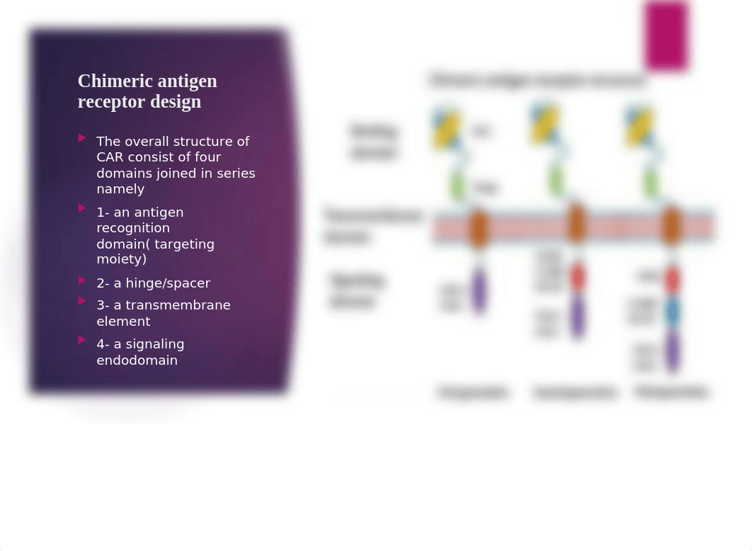 CAR-T cells in cancer therapy (1).pptx_dkqd9f0zt7e_page4