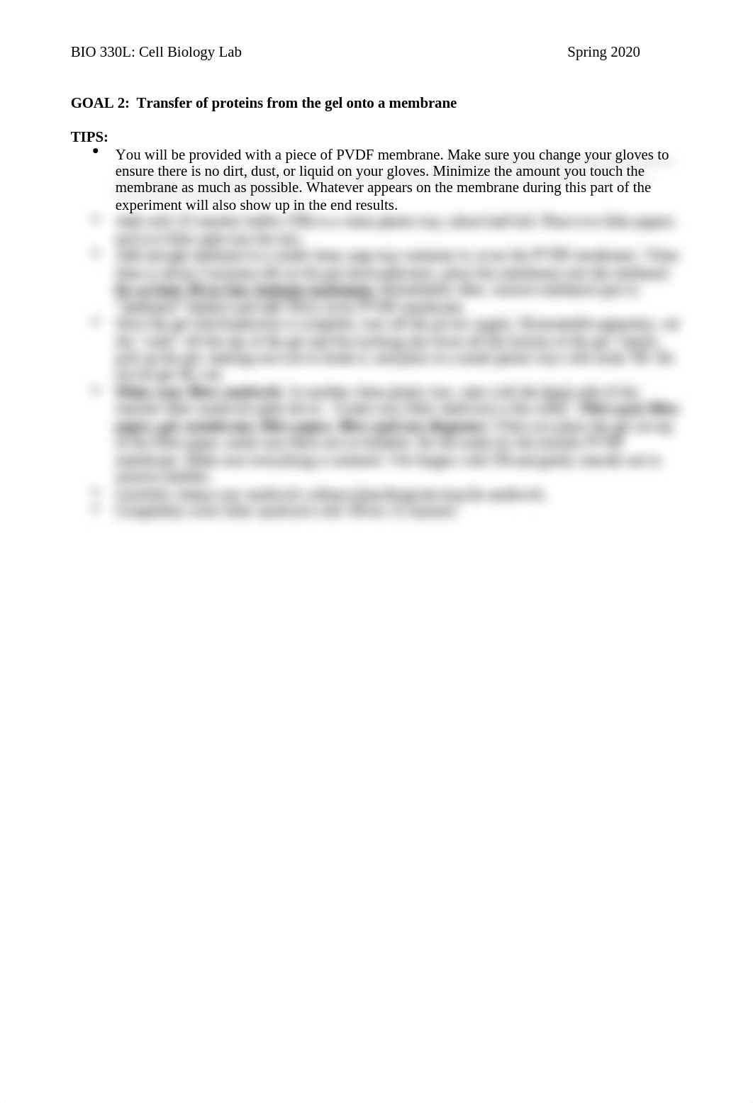 REVISED Western Blot handout and assignment_SPRING 2020.docx_dkqe2ygfx6e_page2