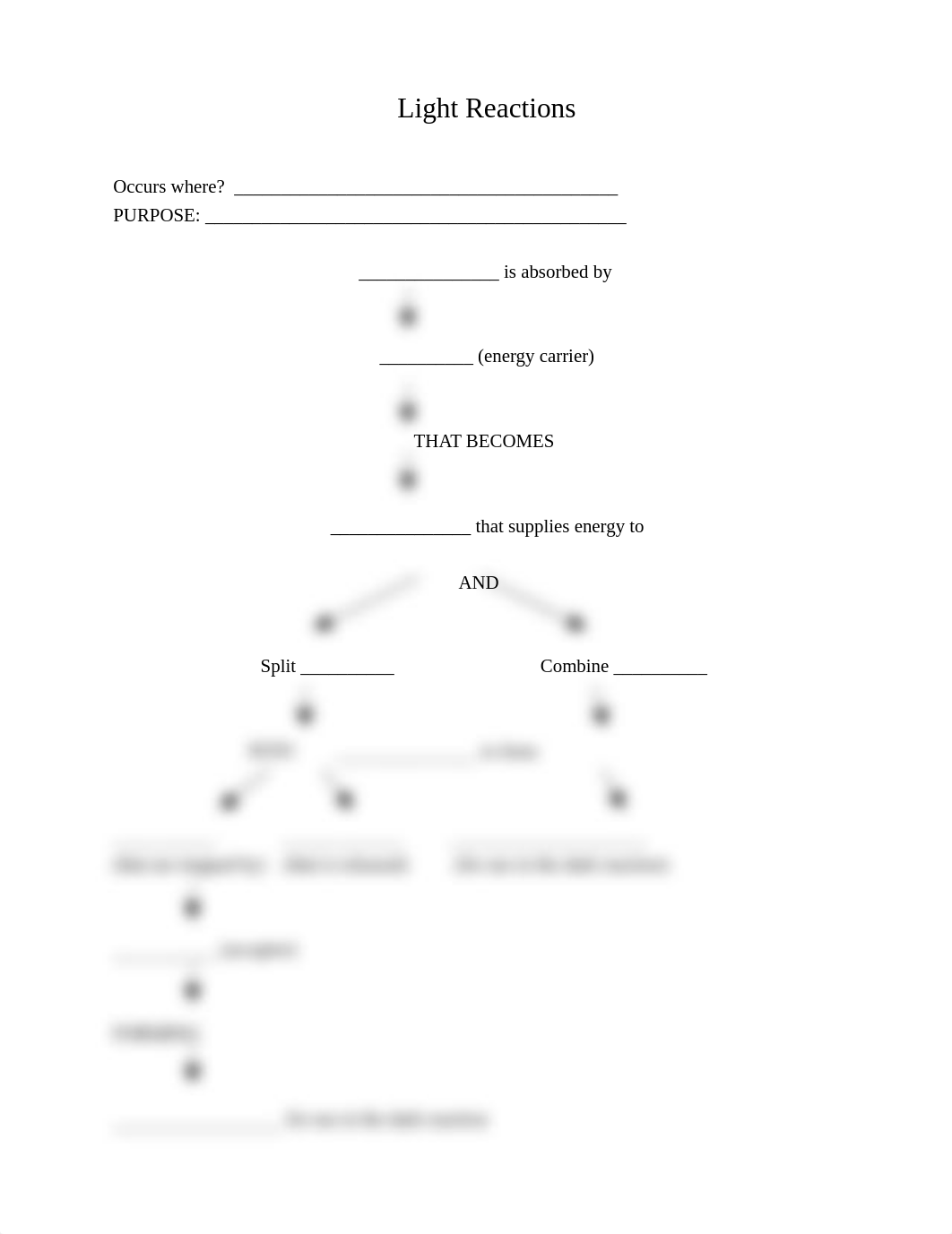 Light Reactions concept map_dkqhd7a6ovy_page1