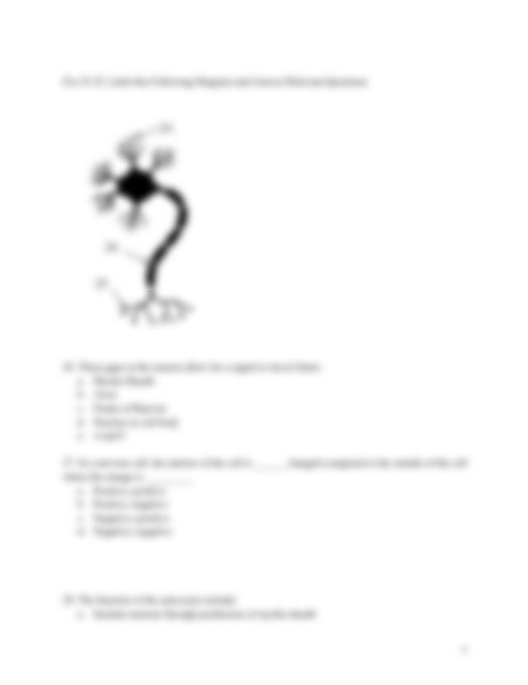 Anatomy_and_Physiology_TEST.docx_dkqmsuv52qu_page4