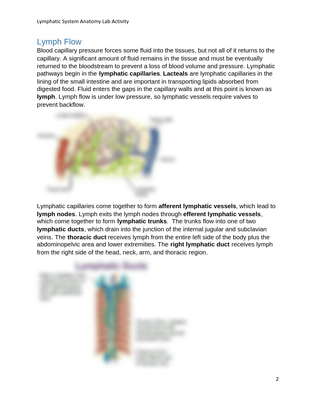 Lymphatic System Anatomy.pdf_dkqoad9spcl_page2