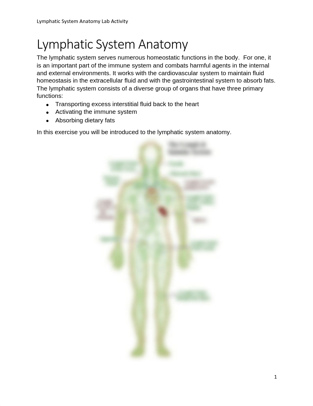 Lymphatic System Anatomy.pdf_dkqoad9spcl_page1