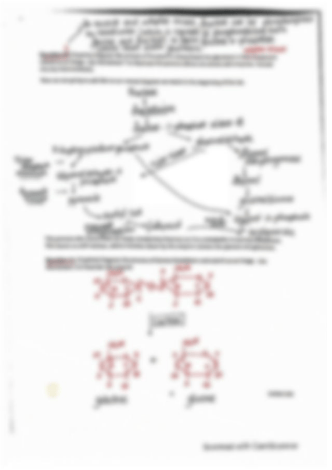 Lab 4- Pathway Building -Glycolysis.pdf_dkqosvmhtgg_page4