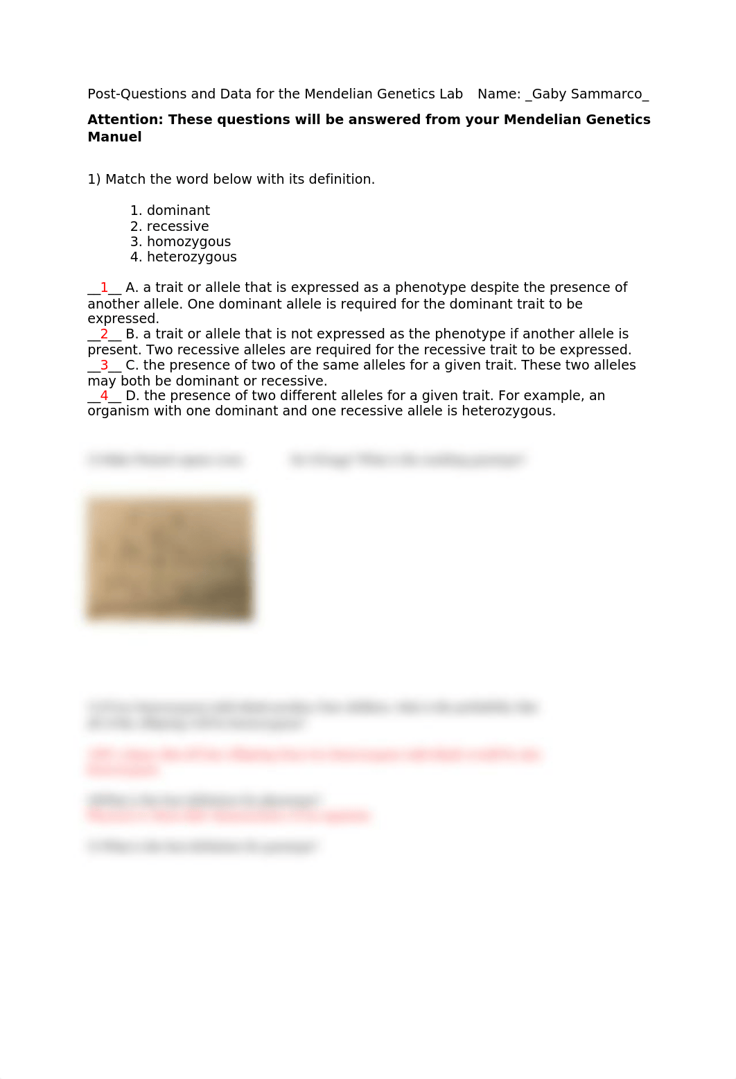 Medelian Genetics- Post lab questions and data.docx_dkqs6xisp5c_page1