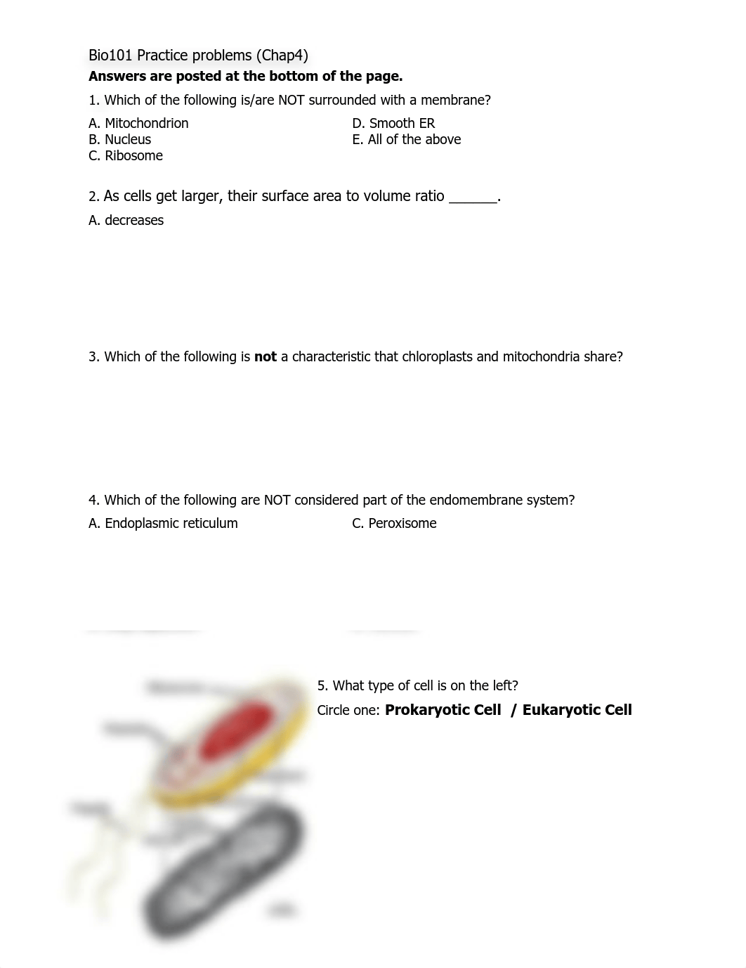 Bio101 Practice problems Chap4.pdf_dkqx31zz9cd_page1