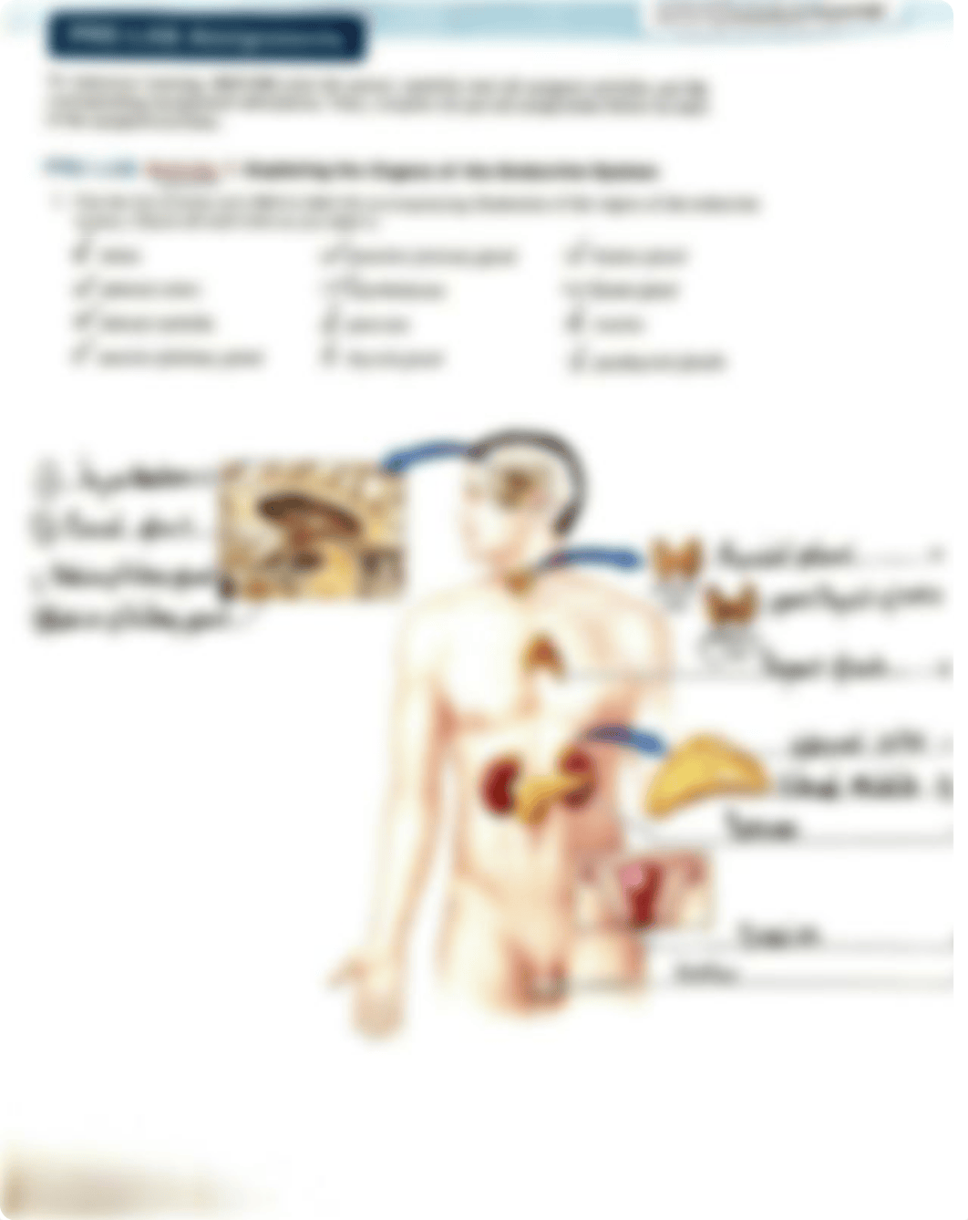 Unit 18 Pre-Lab.pdf_dkrj84rxxqw_page1