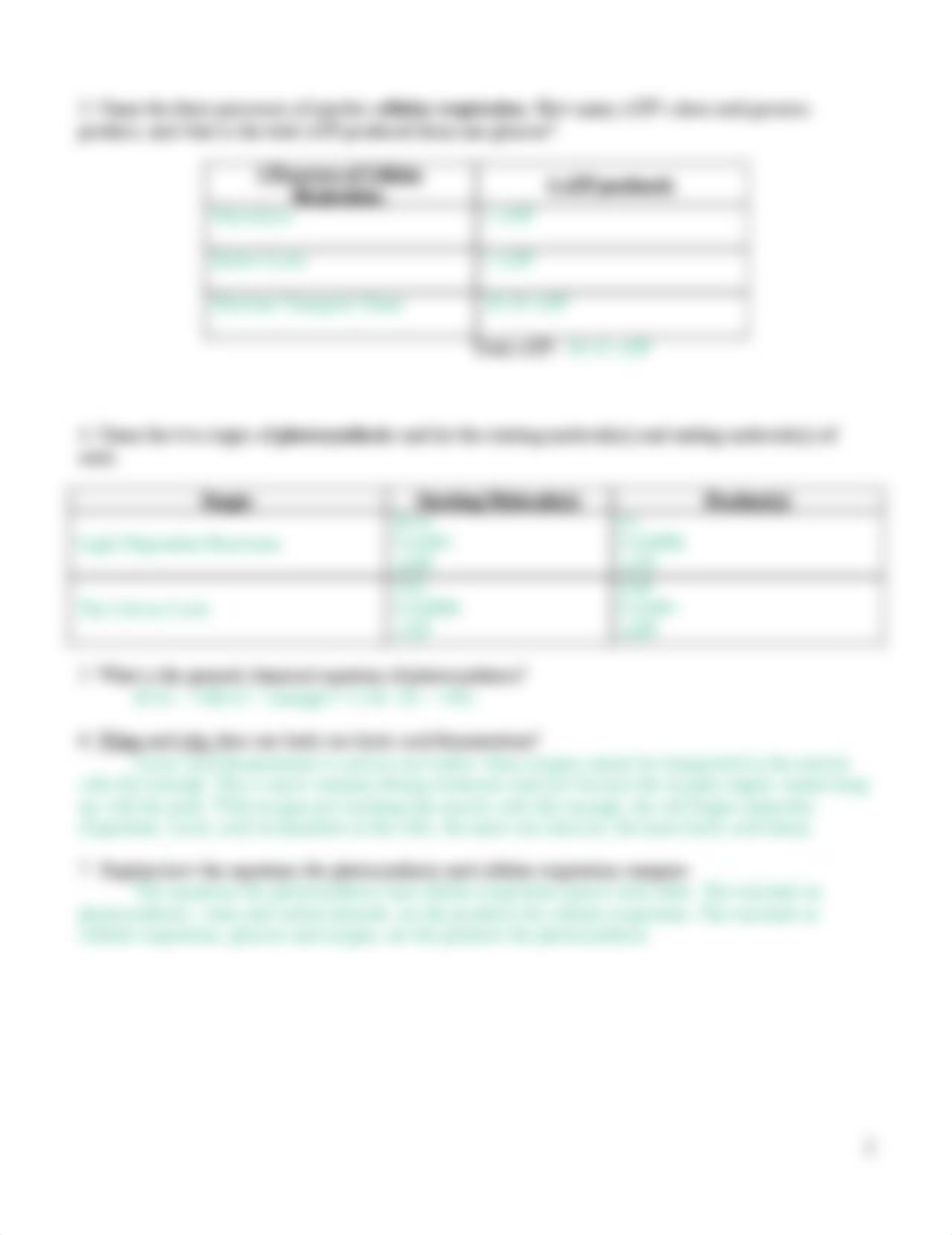 Key Photosynthesis_respiration_review_worksheet.docx (1).pdf_dkrw31ku2fj_page2