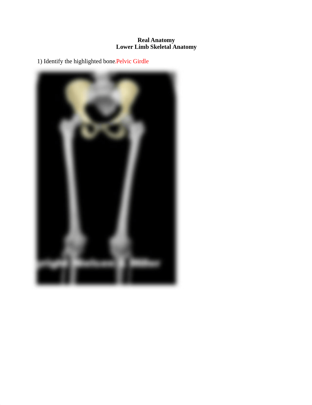 lower limb ID worksheet (1) Done.docx_dkry0hlqsi3_page1