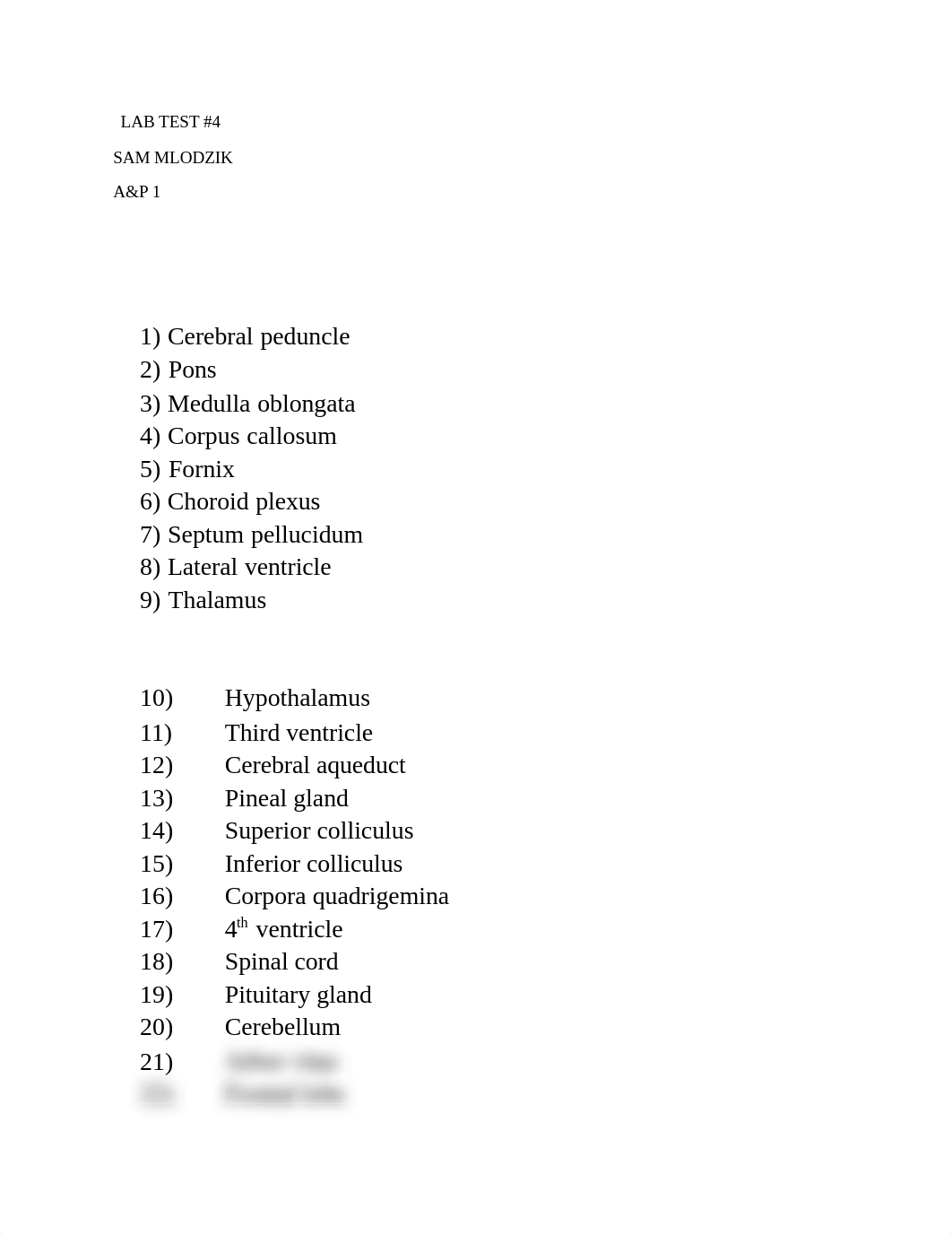 Lab test #4.docx_dks6k1kwnws_page1