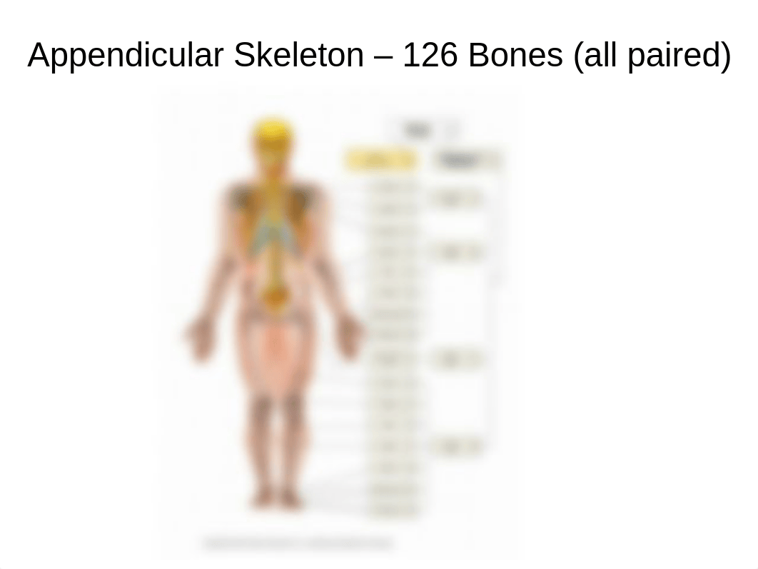 AP1 Lab - Exercise 16,17 - Appendicular bones.pptx_dks6m6ec2vk_page1