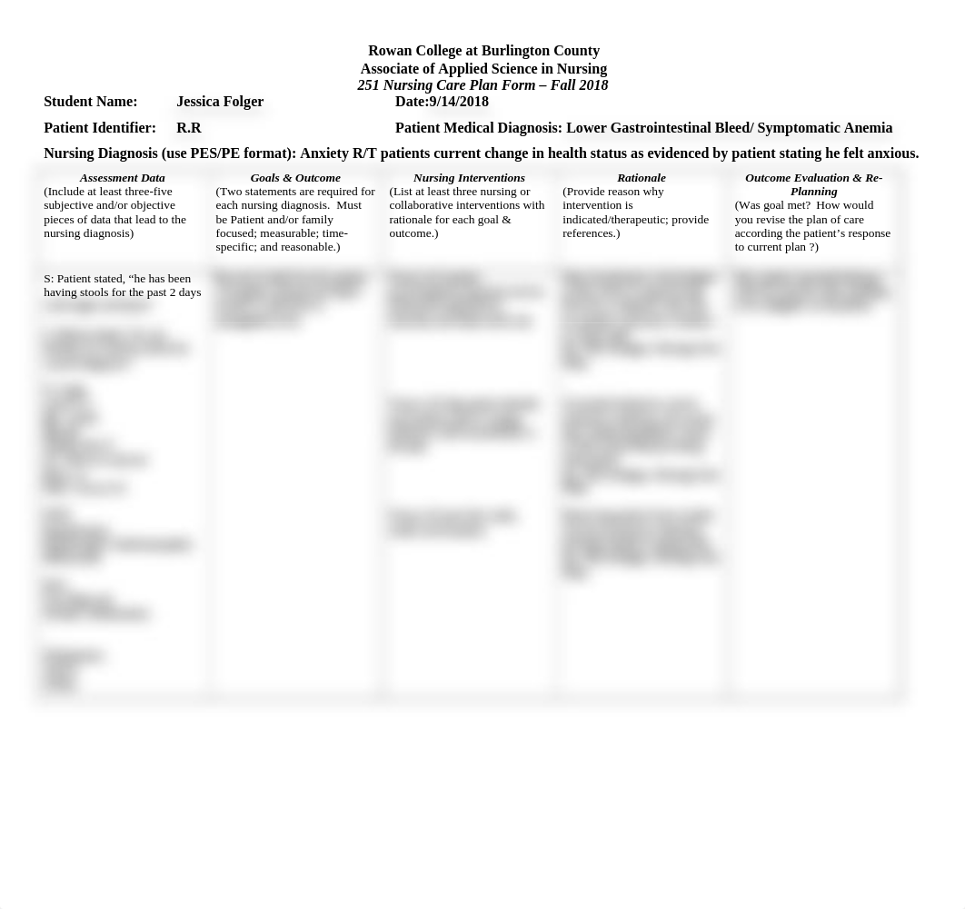 NUR 251 Patient Care Plan Anxiety.doc_dks7c3izrov_page1