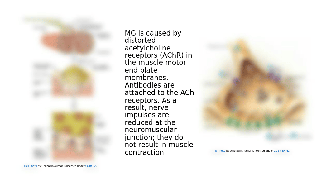 Lecture Winter 2020 FMG.pptx_dks7wp8mvhw_page3