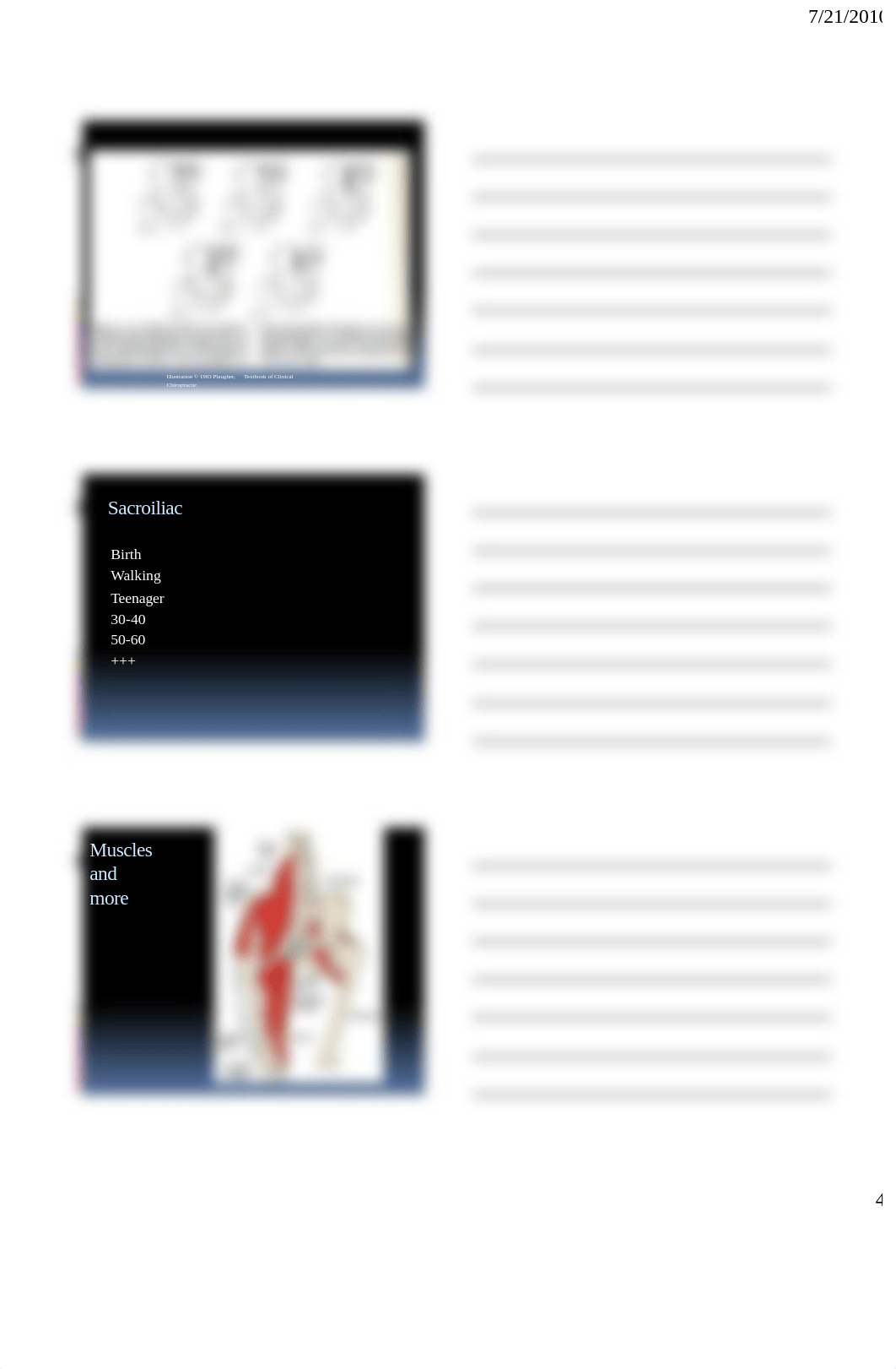 Pelvic Anatomy and X-ray_dksfrag7iyb_page4