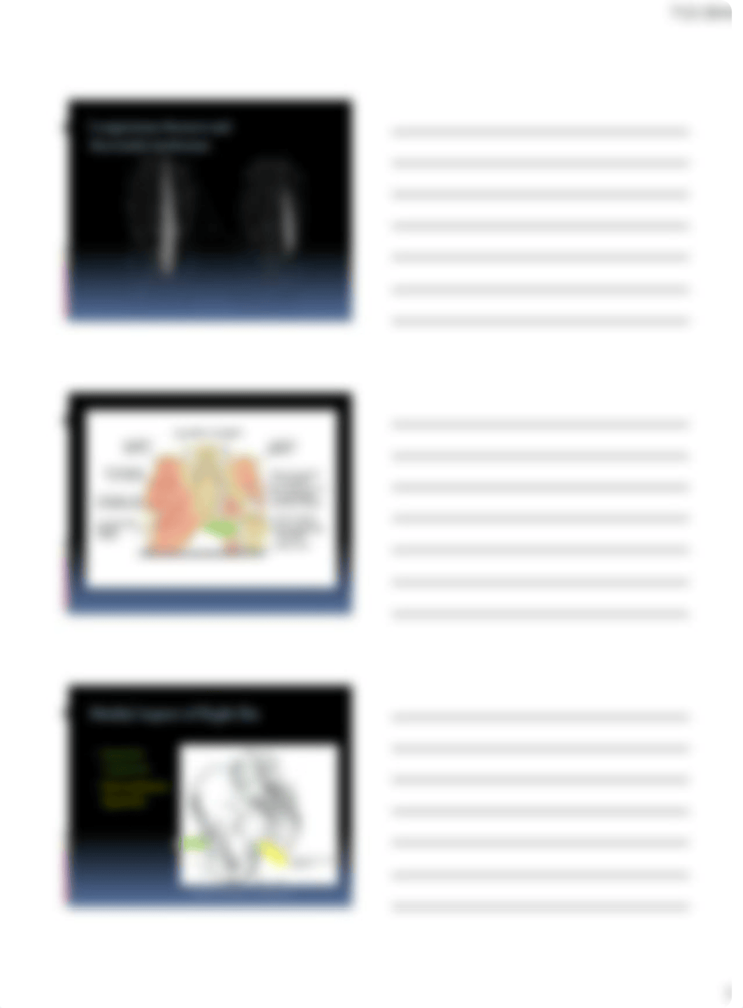 Pelvic Anatomy and X-ray_dksfrag7iyb_page5