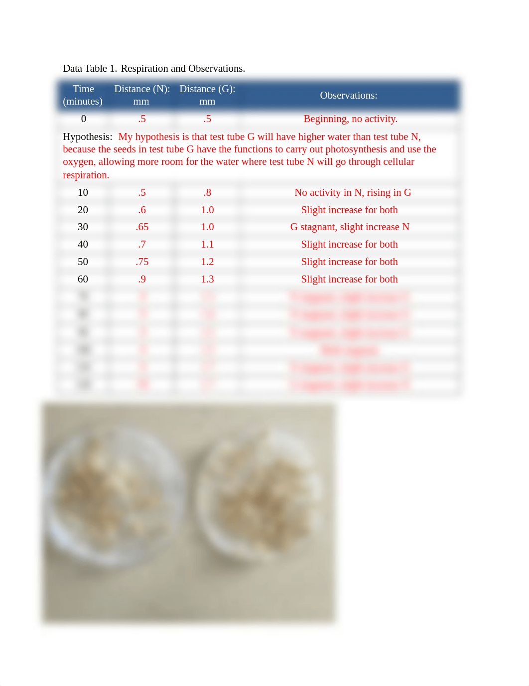 Lab 6 - Shelby Sparks - Bio - 6-19.docx_dksgymp6h97_page1