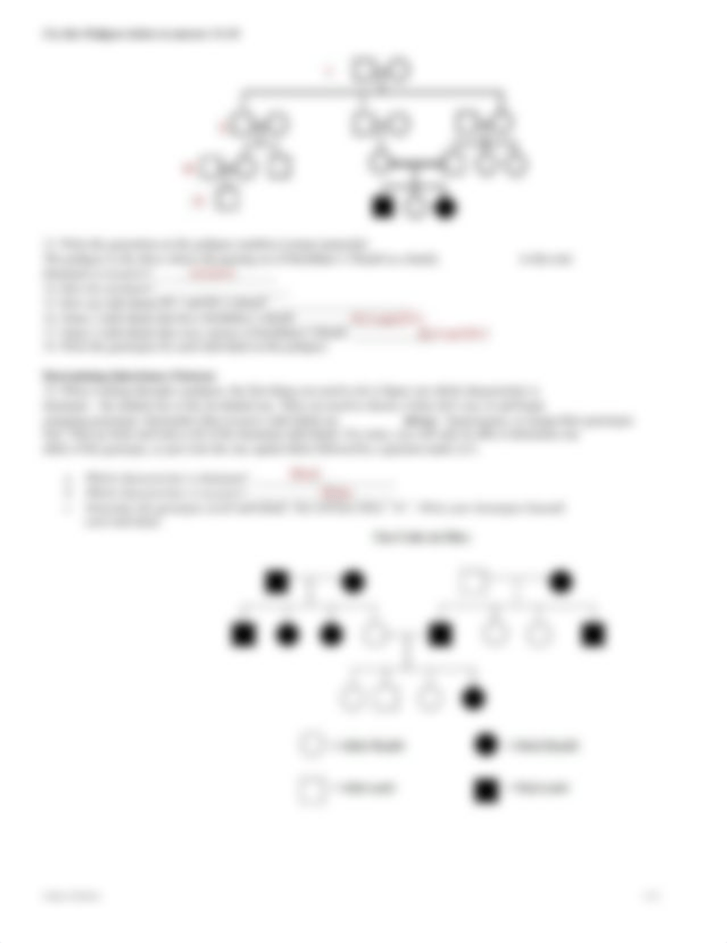 Kami Export - Fregil Luna STUDENT - Pedigree Worksheet.pdf_dkshkf0own7_page2