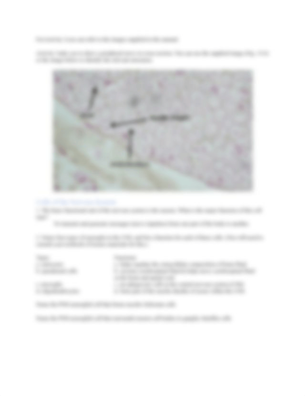 Exercise 15 - Histology of Nervous Tissue.docx_dksnnm0o77n_page2