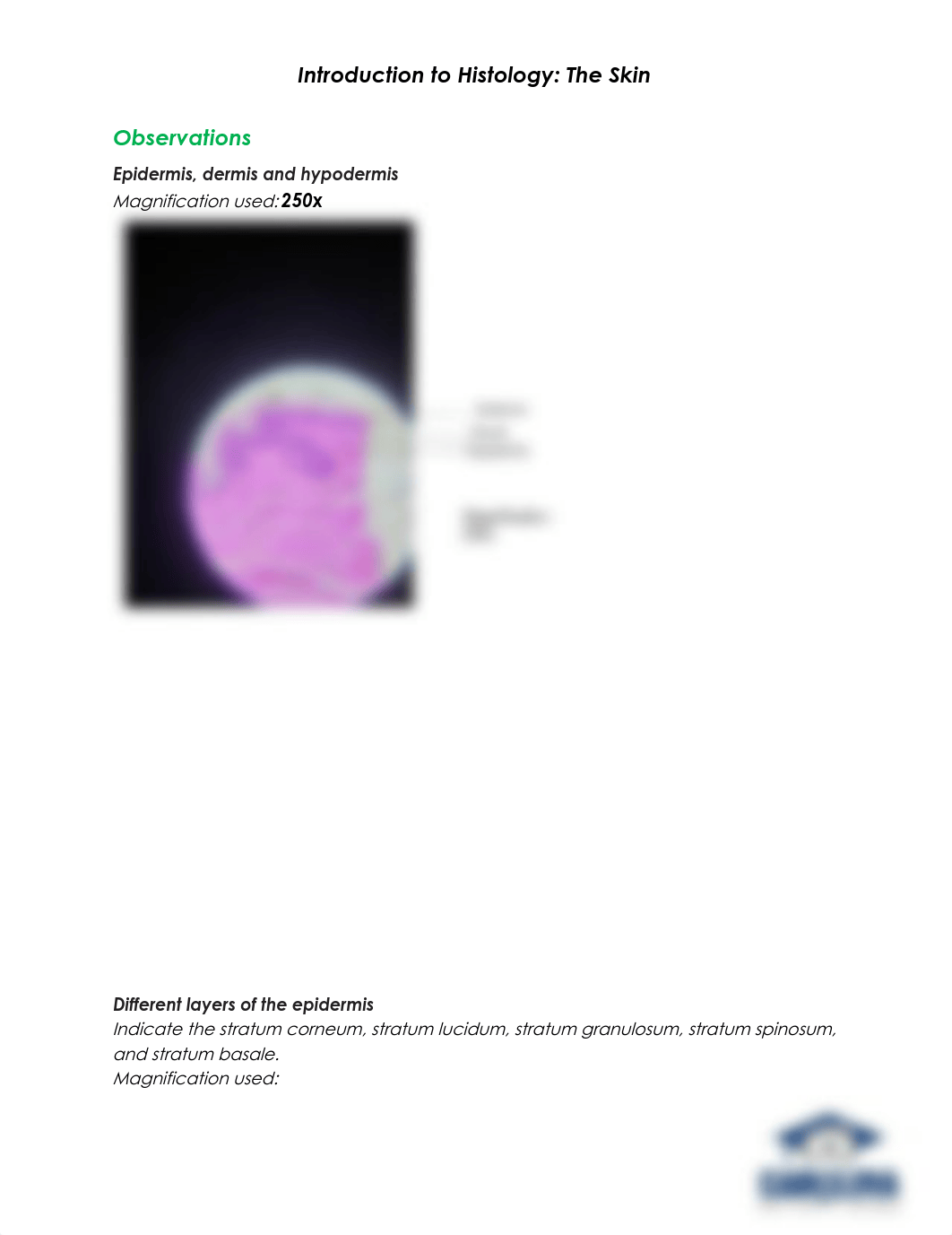 BIO2101 Introduction to Histology_The Skin_Answer sheet (1).docx_dksy845dihx_page1