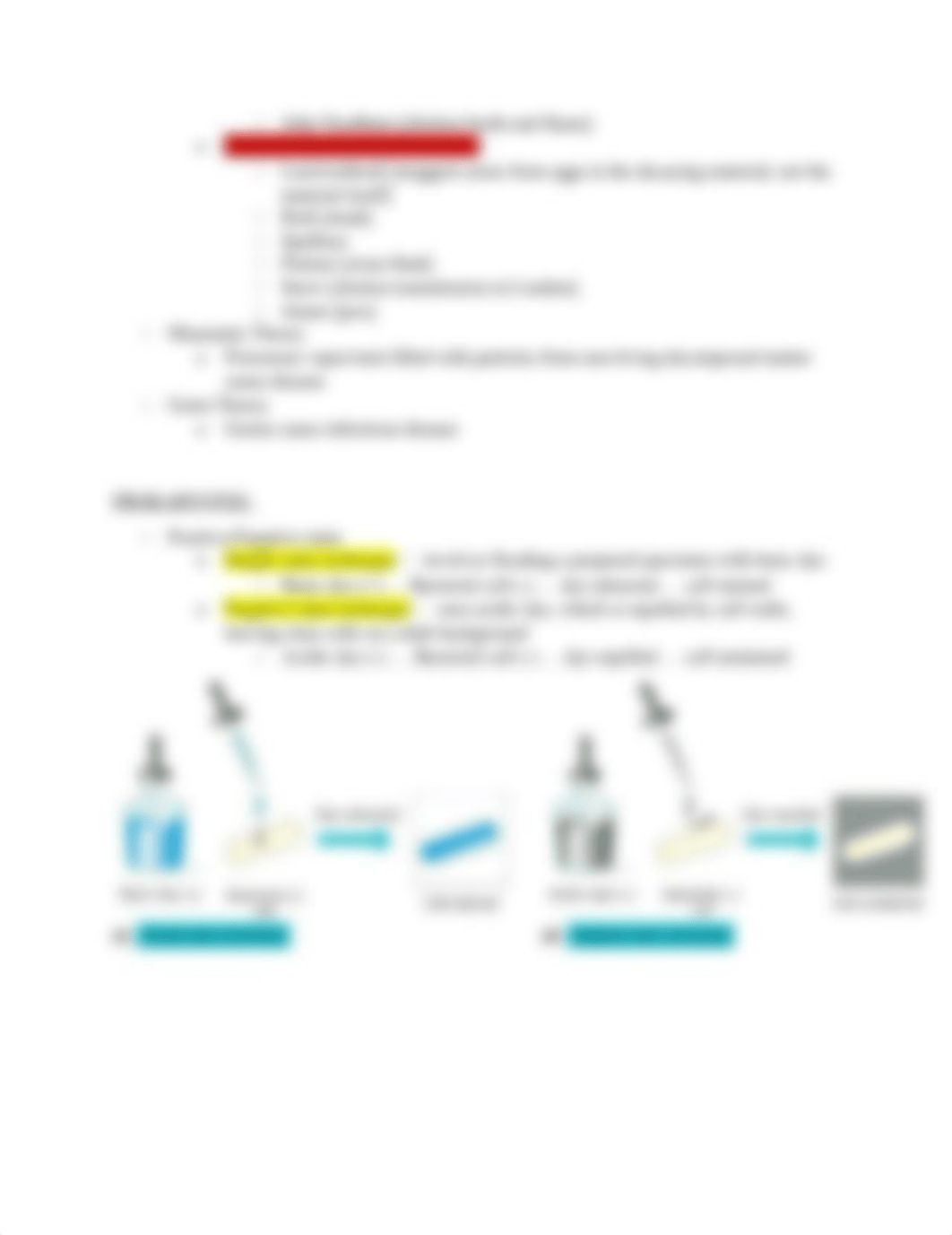 Microbiology Quiz 1 Study Guide.docx_dksyqf2i349_page2