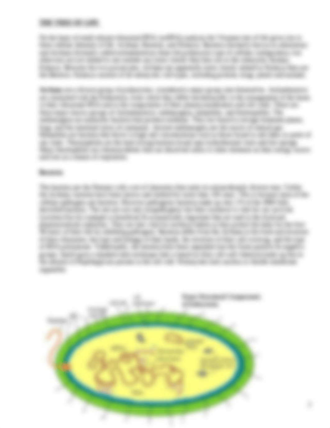 Microbiology 1st lecture evolution and biodiversity.doc_dkt30sykziv_page2