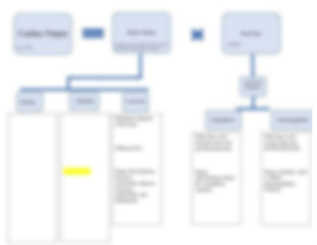 Cardiac Output Flowchart SP21(1)(1).docx_dkt58tjint5_page1