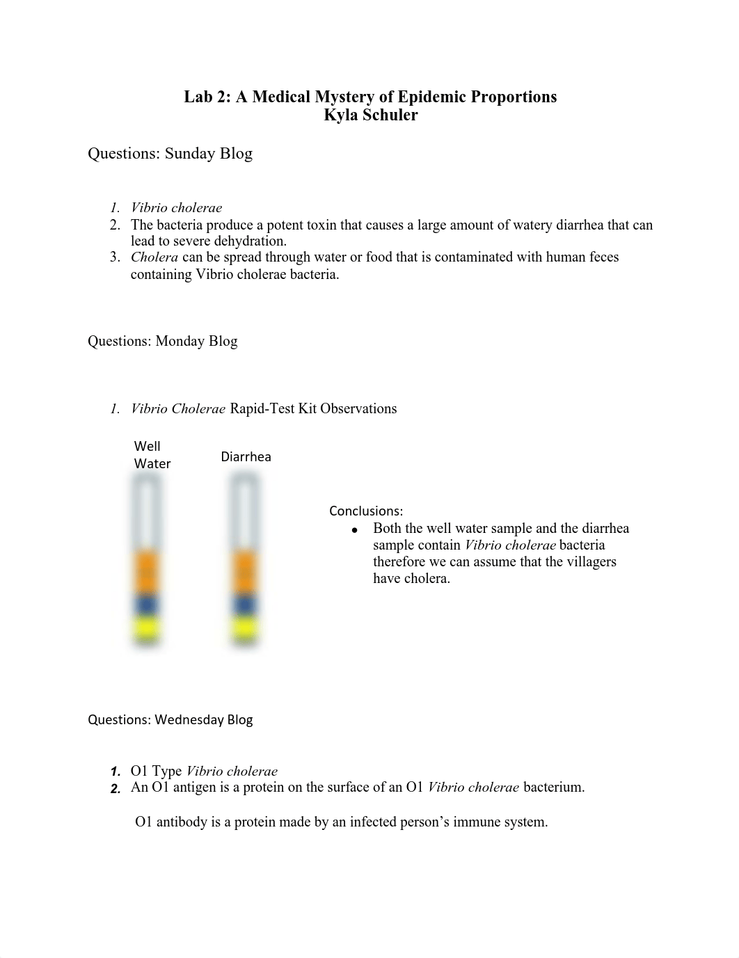 Lab 2(Schuler).pdf_dktc8kpcvry_page1