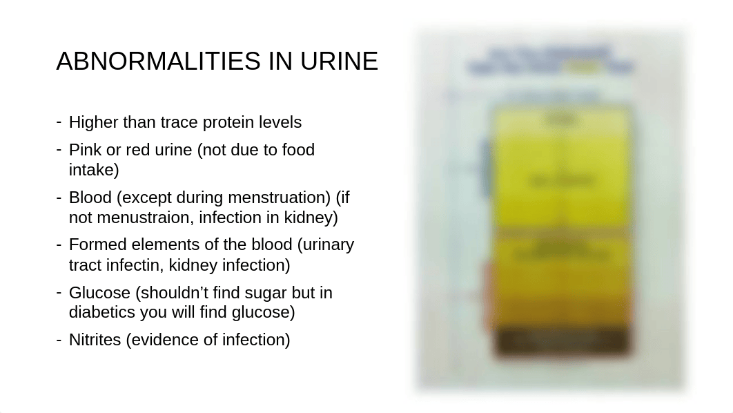 BIO 211 Chapter 25 The Urinary System Universal - Copy.pptx_dktih0n2jw0_page5