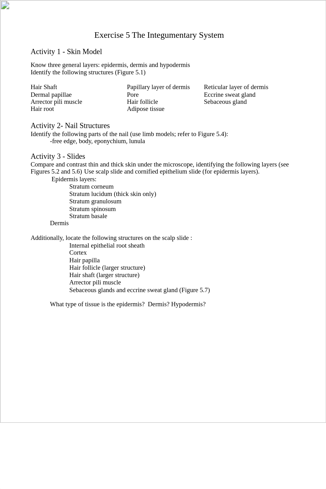 Wk4The Integumentary System-handout.doc_dktijwfmf47_page1