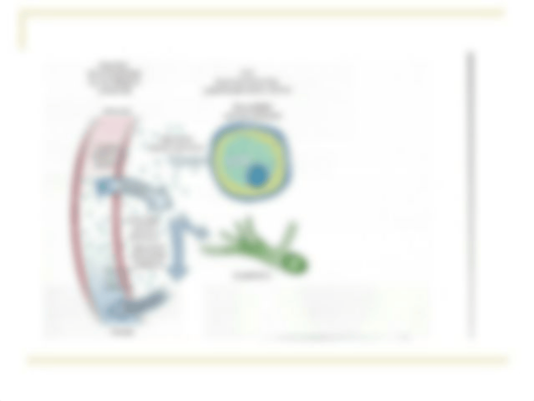 The Cellular Environment.pptx_dktkxwehab7_page2